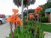 DSC09052