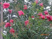 DSC09057