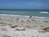 IMG 0162