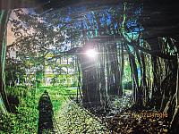 IMG 0075