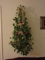 IMG 6674