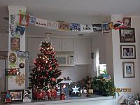 IMG 6706