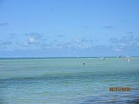 IMG 0220