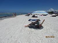 IMG 0229