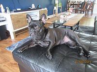 IMG 0288