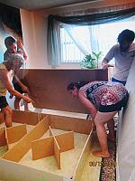 IMG 0352