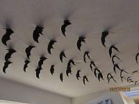 IMG 6494