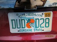 IMG 6557