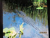 IMG 6569