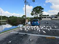 IMG 0284