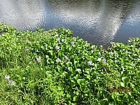 IMG 0290