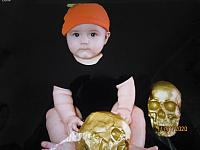 IMG 0333