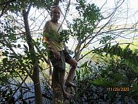 IMG 0352