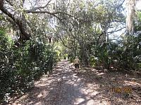 IMG 0357