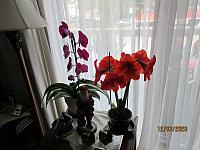 IMG 0373