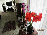 IMG 0374