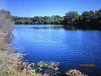 IMG 0420