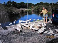 IMG 0423