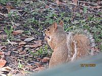 IMG 0478