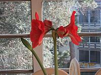 IMG 0479