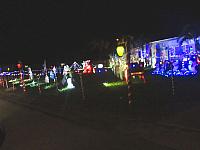 IMG 0513