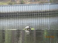 IMG 0050