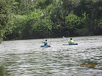 IMG 0185