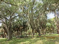 IMG 0188