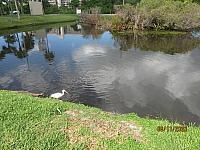 Lake Seminole Park