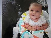 IMG 0247