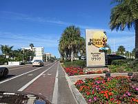 Florida Winter 2020