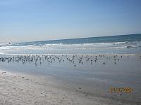 IMG 6714
