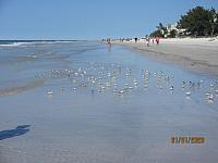 IMG 6721