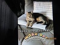 IMG 6767