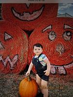 IMG 1010  Halloween
