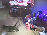 IMG 1243