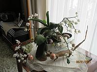 IMG 0714