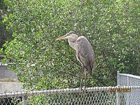 IMG 0738