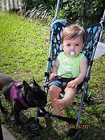 IMG 0771