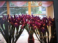 IMG 1053