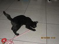 IMG 1524