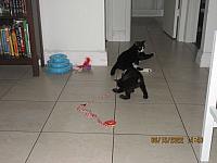 IMG 1525
