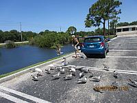 IMG 1404