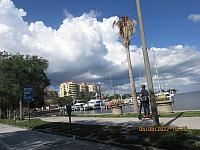 IMG 1516