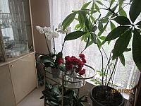 IMG 1634