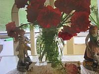 IMG 1657