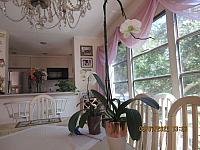 IMG 1343