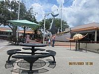 IMG 2009