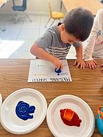 IMG-4329