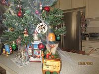 IMG 2253